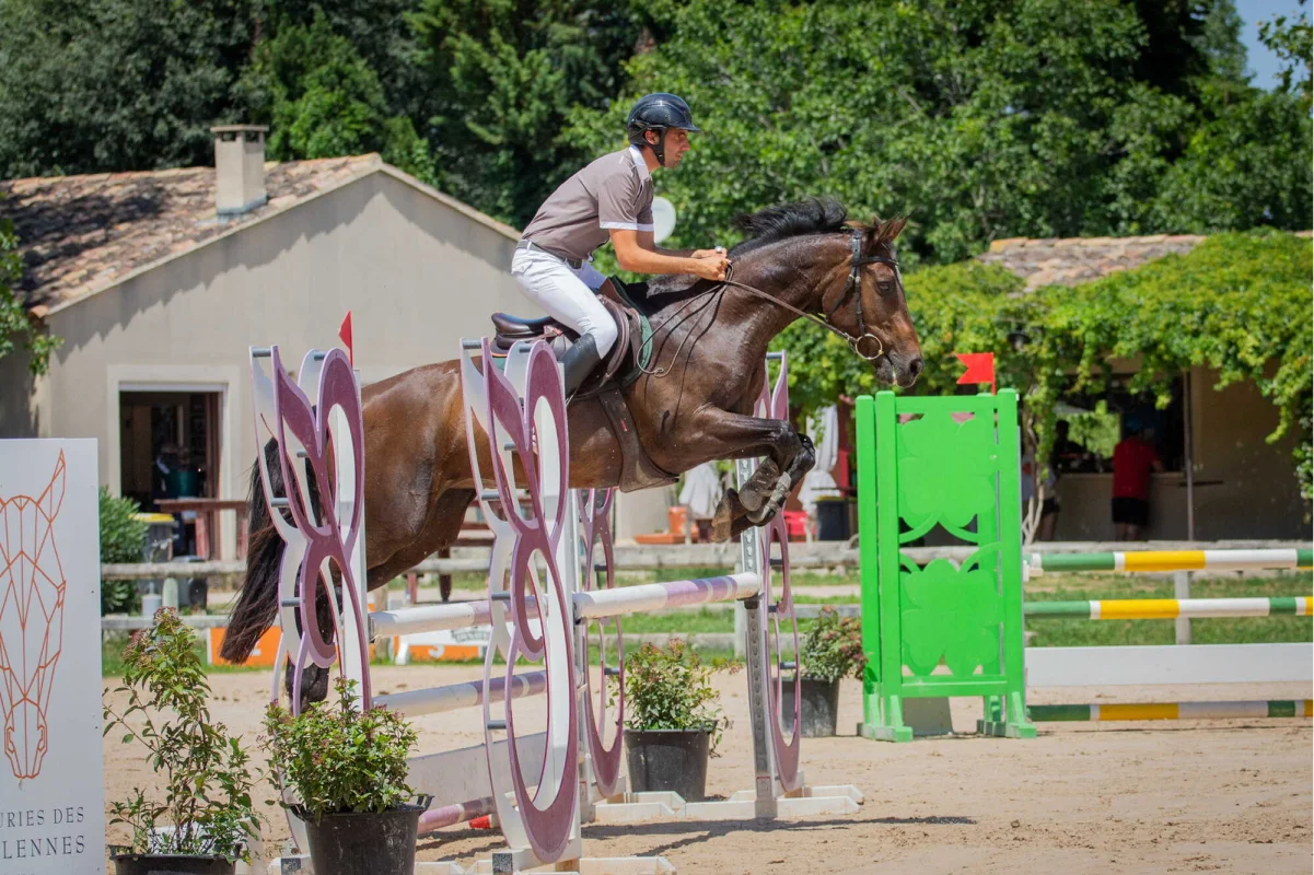 Valjac Formation Equestre Avignon Realisation 10