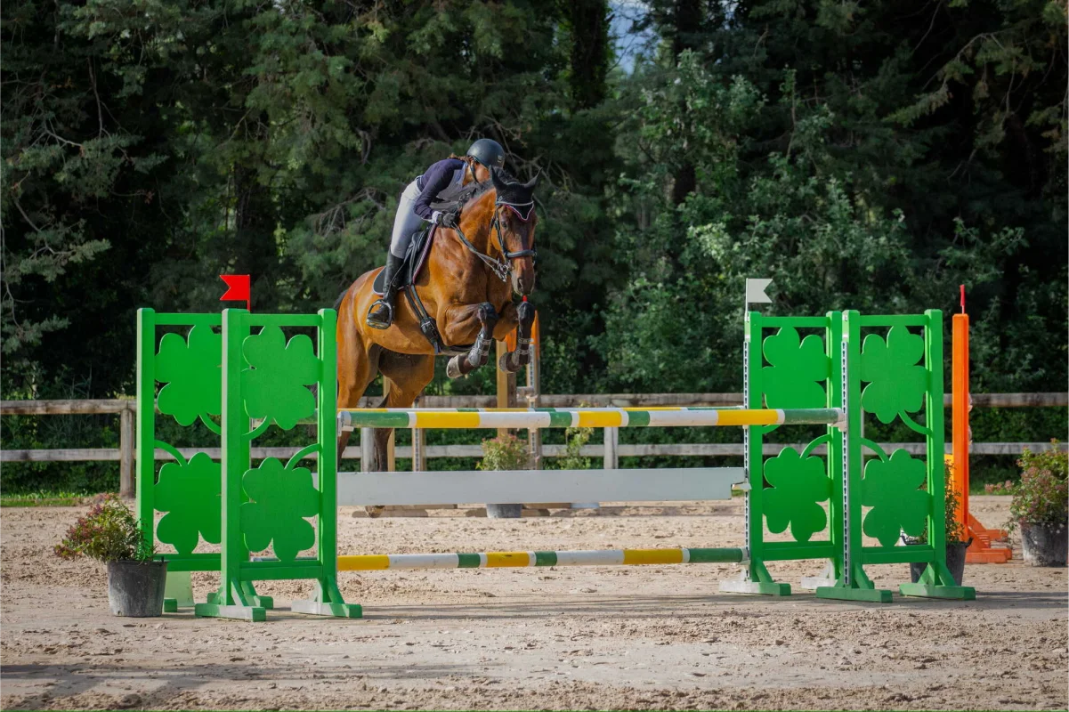 Valjac Formation Equestre Avignon Realisation 11