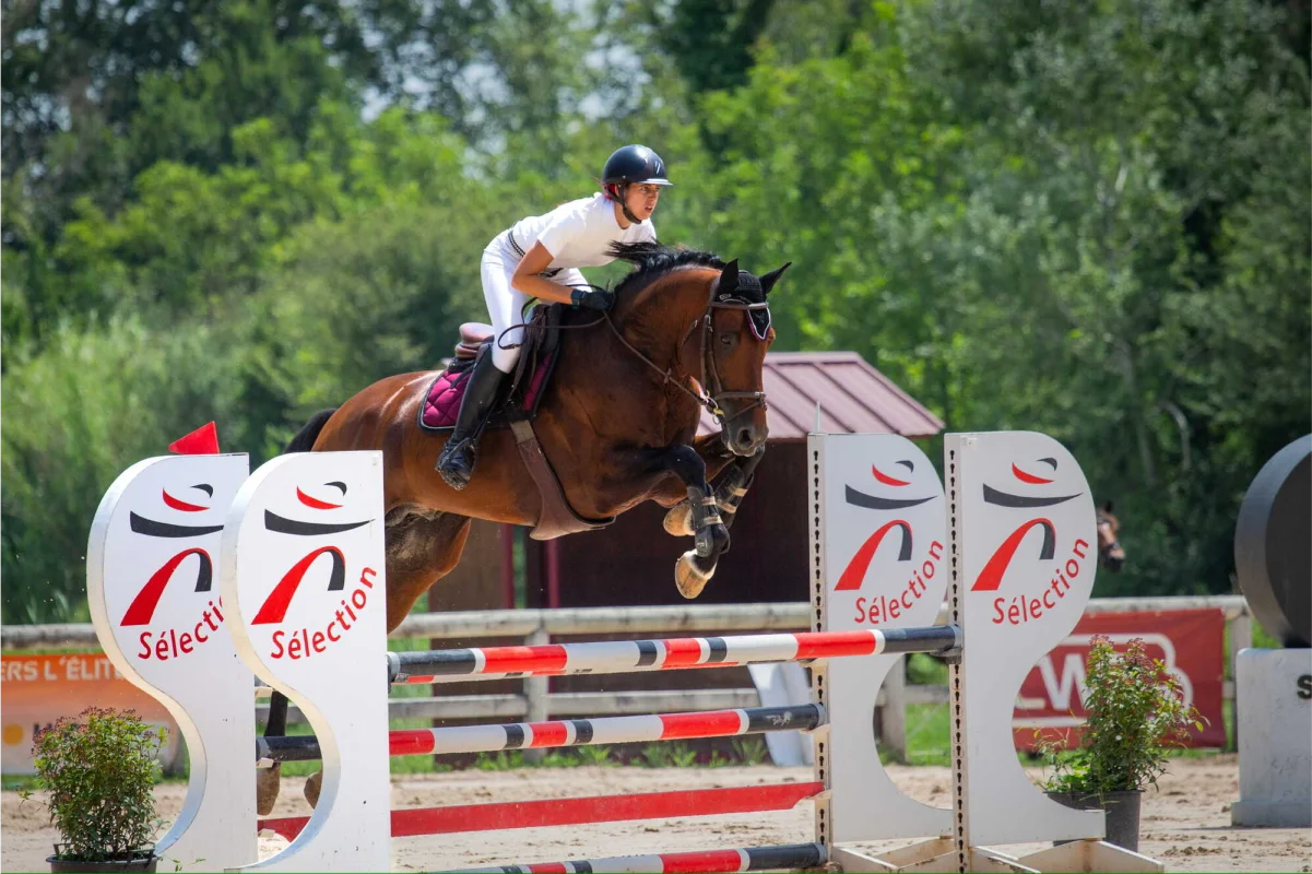 Valjac Formation Equestre Avignon Realisation 12