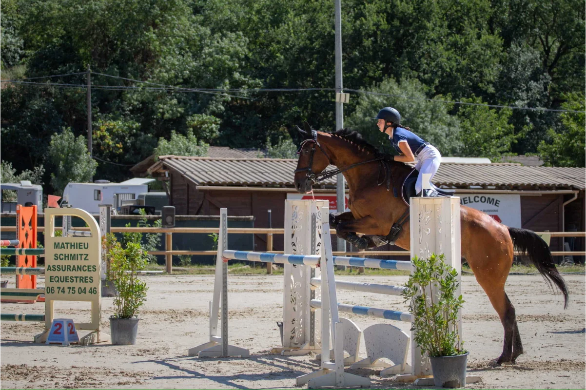 Valjac Formation Equestre Avignon Realisation 13