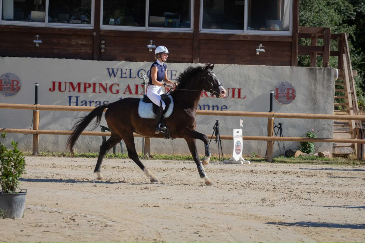 Valjac Formation Equestre Avignon Realisation 14