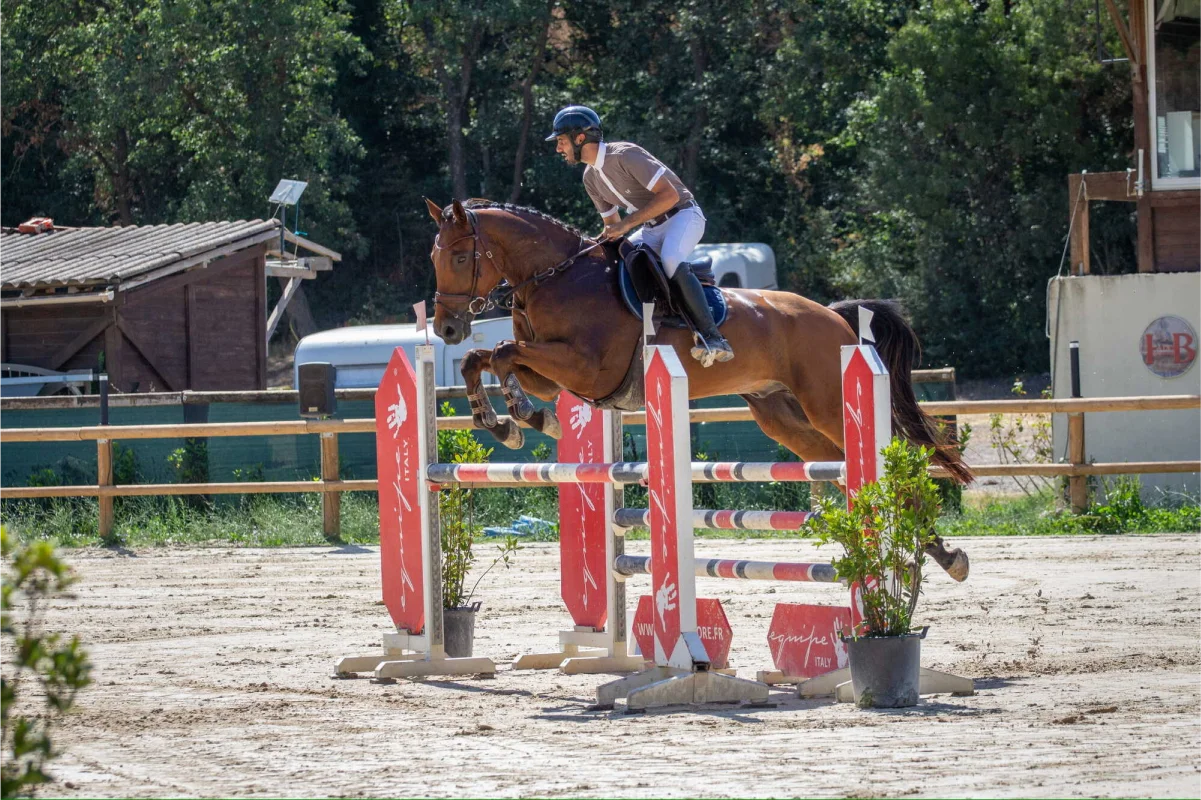 Valjac Formation Equestre Avignon Realisation 15