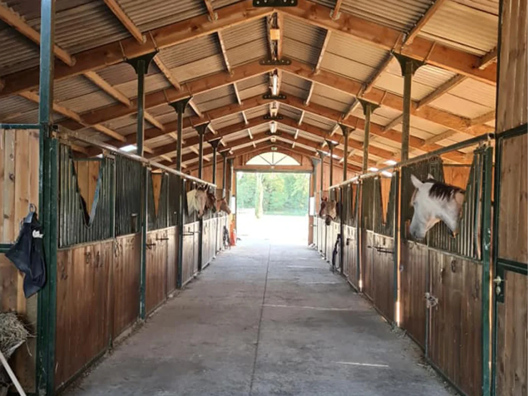 Valjac Formation Equestre Avignon Realisation 17