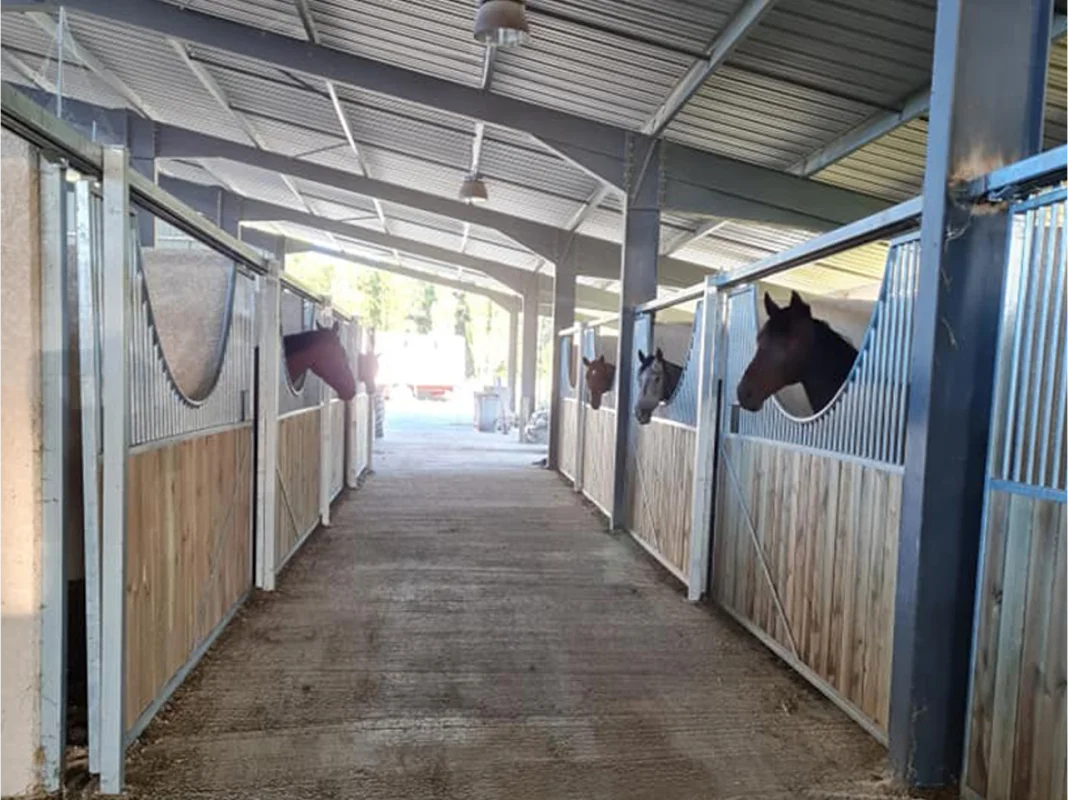 Valjac Formation Equestre Avignon Realisation 18