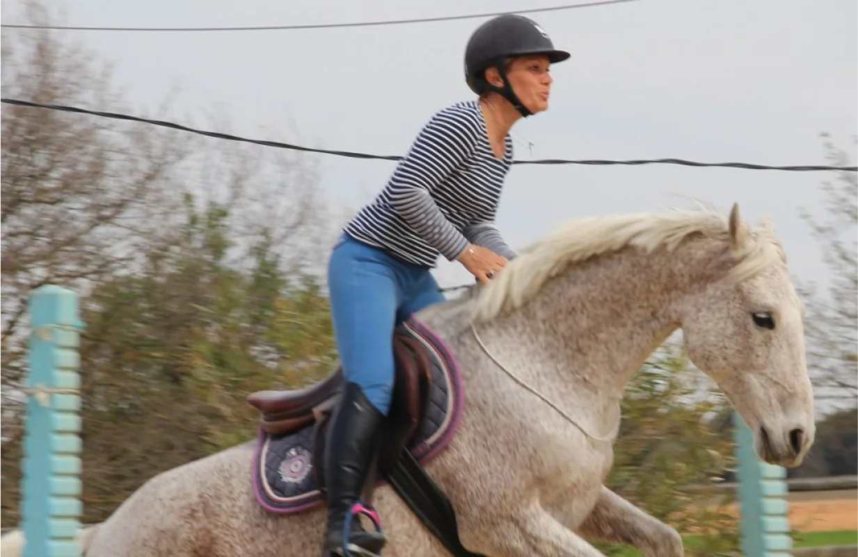 Valjac Formation Equestre Avignon Realisation 2