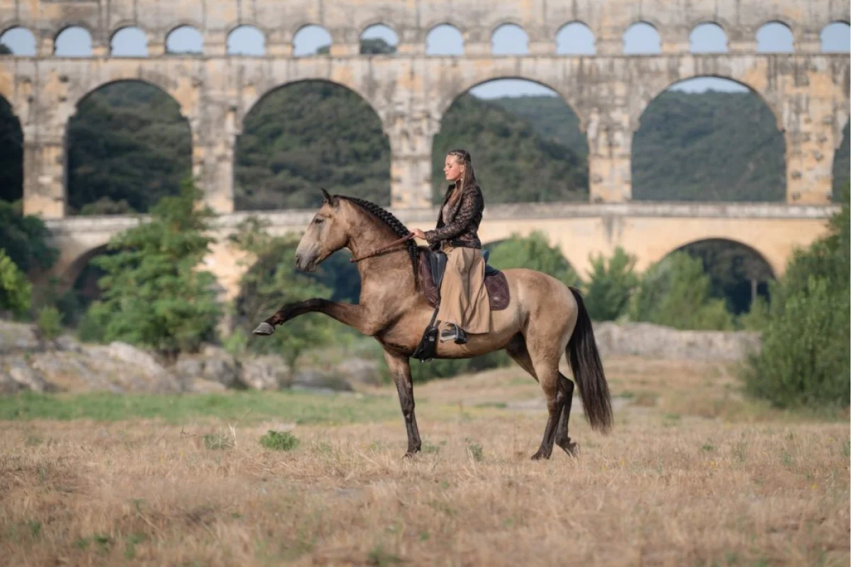 Valjac Formation Equestre Avignon Realisation 20