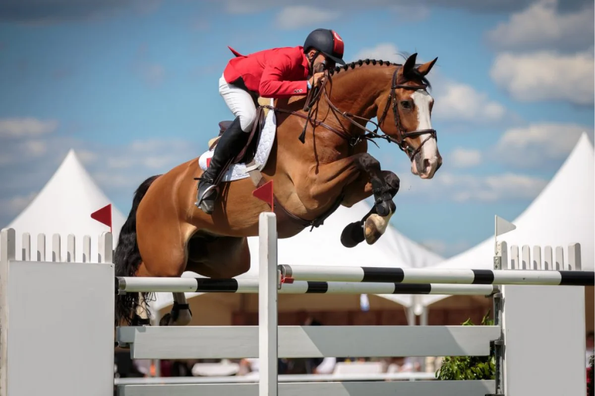 Valjac Formation Equestre Avignon Realisation 22