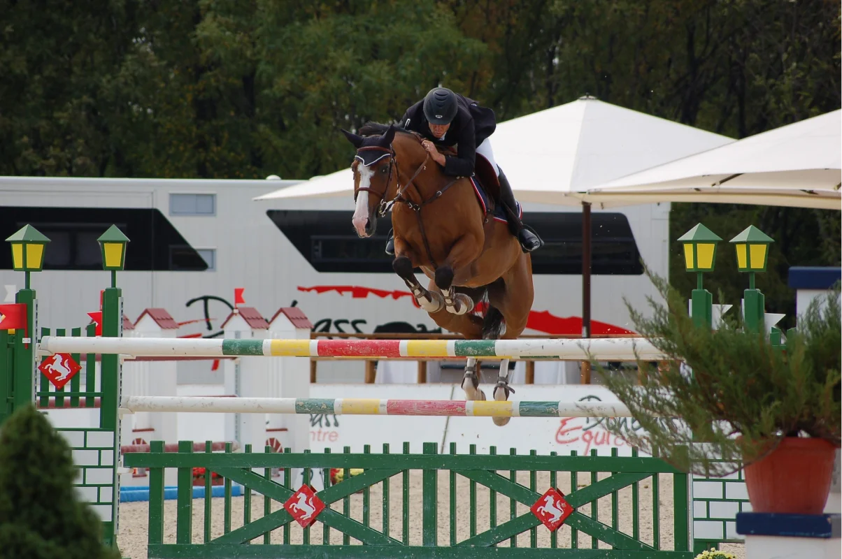 Valjac Formation Equestre Avignon Realisation 25