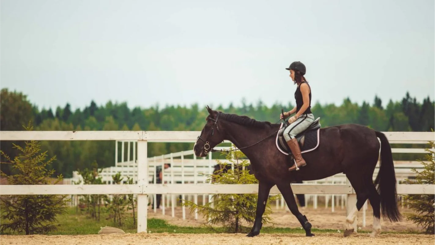 Valjac Formation Equestre Avignon Realisation 28