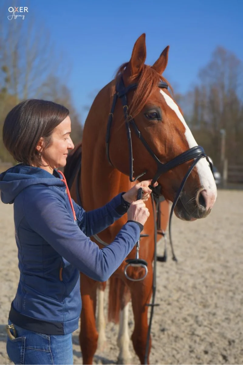 Valjac Formation Equestre Avignon Realisation 3