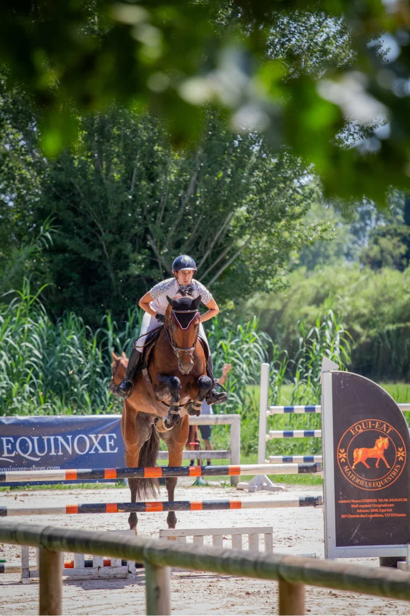 Valjac Formation Equestre Avignon Realisation 8