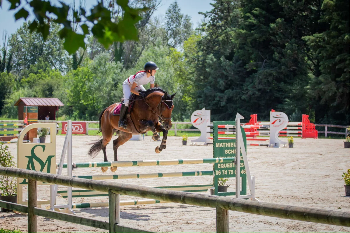 Valjac Formation Equestre Avignon Realisation 9